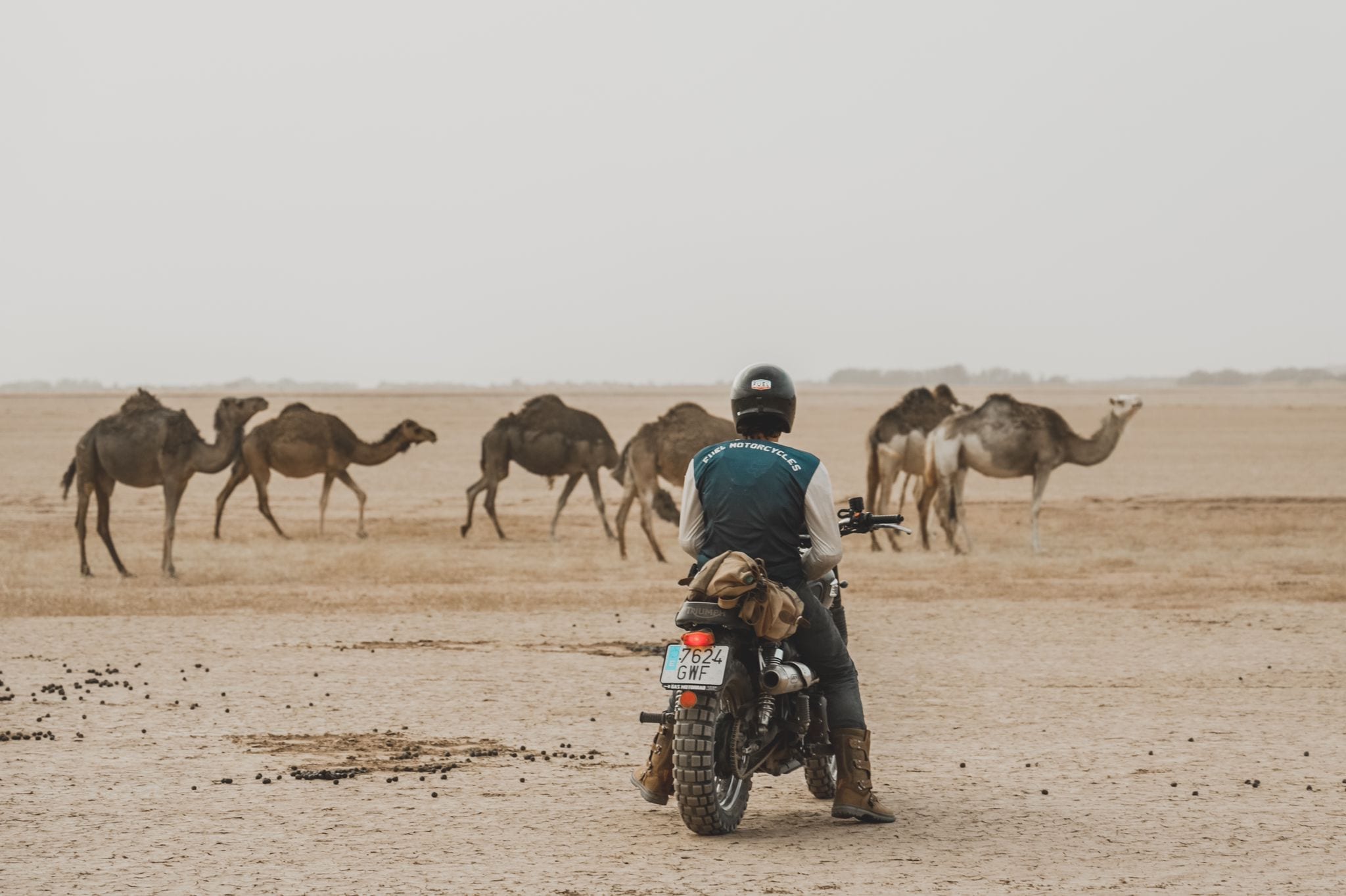 Copyright Simone de Ranieri / Isaac Vives, Fuel Motorcycles Scram Africa